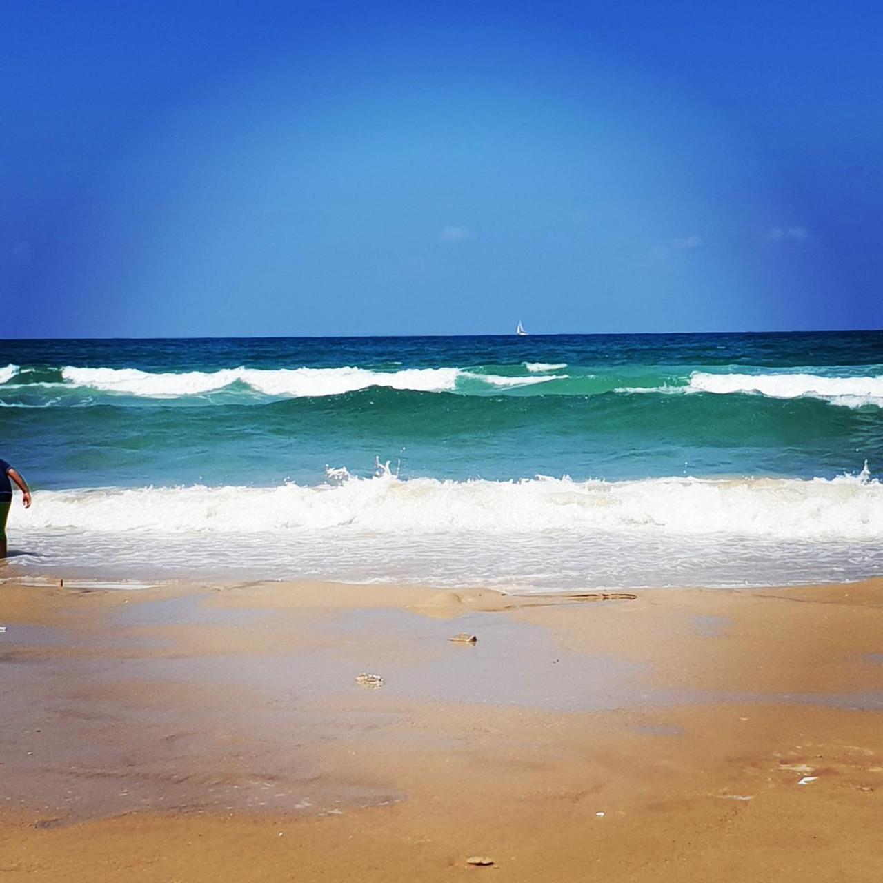 Sweet Home On The Beach Tel Aviv Dış mekan fotoğraf